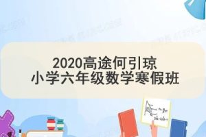 2020高tu何引琼小学六年级数学寒假班 7讲带讲义
