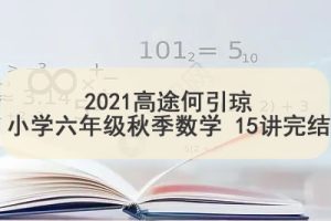 2021高tu何引琼小学六年级秋季数学 15讲完结