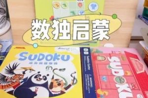 数独启蒙配套课程 6讲完结