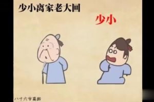 【乐乐课堂】385集动画国学完整版