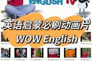 wow English 史提夫少儿趣味英语动画视频全集