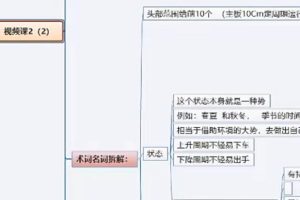 周期女王《低吸女王万法归一系统课》