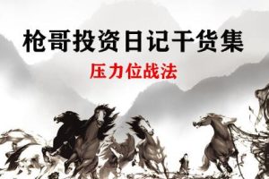 《股市压力位战法》枪哥股票投资日记干货集