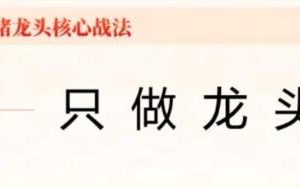《股市情绪龙头核心战法》只做龙头
