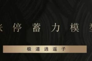 《涨停蓄力模型》爆点潜伏-辅助课程视频