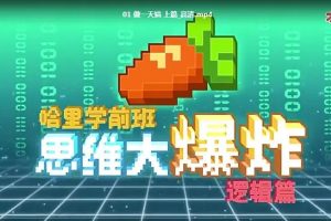 哈里学前班《思维大爆炸-逻辑篇》MP4动画视频