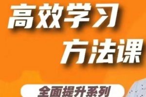 学习力培养六步法精讲  恩爸   教学视频