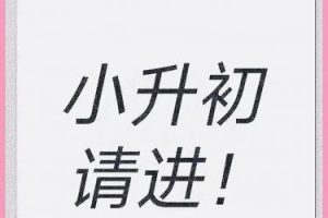 小升初语文题型讲座-考试写作阅读常识28讲-带讲义