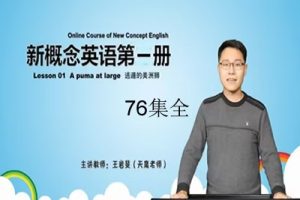 【天鹰教育】王岩斐老师新概念英语第一册精讲视频课程76集全