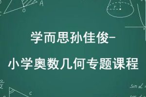 学而思孙佳俊-小学奥数几何专题课程