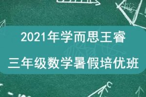2021年学而思王睿 三年级数学暑假培优班