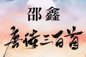邵鑫唐诗三百首40讲完结网课视频