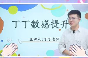 丁丁老师：小学3-6年级数学思维提升课（视频课程+附题库及讲义)