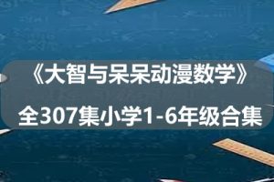 《大智与呆呆动漫数学》全307集小学1-6年级合集