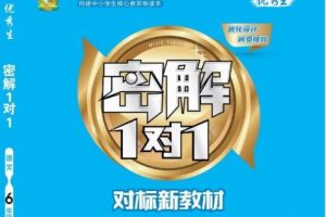 2023《密解1对1》新教材：六年级下册