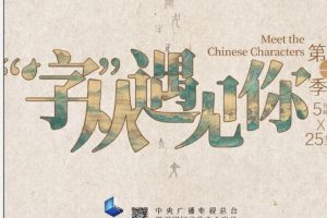 《“字”从遇见你》央视纪录片 25集全