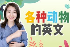 雪梨老师25套小学英语王炸学习资料