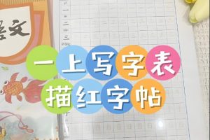 2024一字三描红写字表练字帖（1-6年级下册）