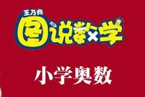 【跟谁学王乃向】《图说数学》小学奥数初+中+高级共373课视频