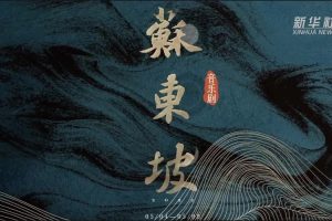 【北宋之美】苏东坡的奇遇人生视频