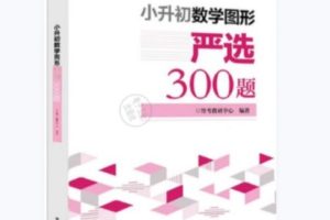 小升初数学图形:严选300题PDF电子版文档下载