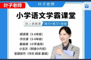 叶子老师小学语文阅读、作文、基础答题技巧网课视频