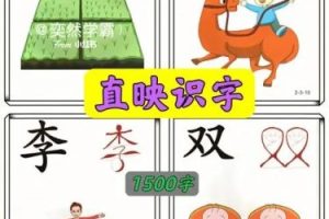 《直映认字》幼儿识字软件1-6册全套