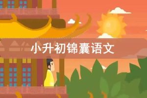 乐乐课堂系列-小升初锦囊语文动画视频共27集