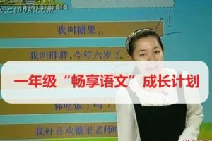 学而思网校一年级“畅享语文”成长计划年卡视频课程全44讲