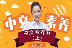 【王芳大语文中文素养课】小学语文五年级（上）