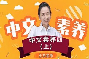 【王芳大语文中文素养课】小学语文四年级（上）