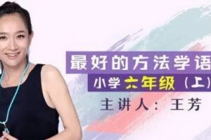 【王芳大语文】小学六年级上中文素养课-部编版（音频）