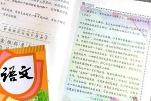 233网校2019人教版小学语文三年级上下册视频课程全109讲