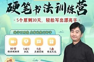 杨藩博士书法视频课程合集