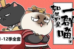 如果历史是一群喵1-12季全套音频+视频下载