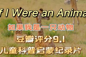 如果我是一只动物中英文全套下载