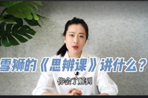 雪狮老师-思辨课精讲全套视频下载