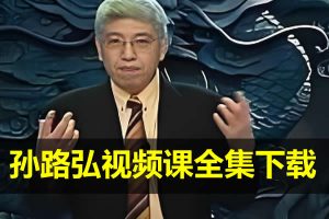 孙路弘视频课全集下载