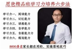 《精品班学习力培养六步法》恩爸视频课程