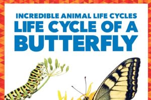 Jump!出版社Pogo系列儿童科普读物《Life Cycle of Animals》7册，完整呈现动物生命周期 PDF