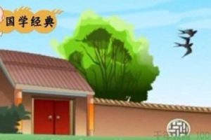 国学经典《三字经》54集标清动画