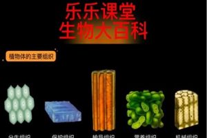 乐乐课堂生物大百科为6~12岁孩子搭建一个神奇的生物世界