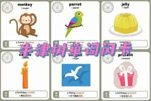 [牛津自然拼读单词闪卡]Oxford Phonics World Flashcards1-5级共494张图片