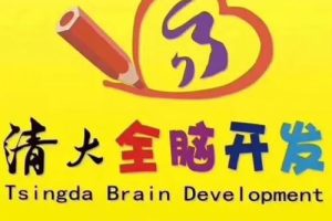 清华大学堂3-6岁儿童全脑开发教案