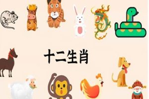 《十二生肖》全40集民俗神话动画片