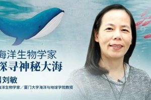 科学队长《和海洋学家一起探寻神秘大海》全54集音频mp3