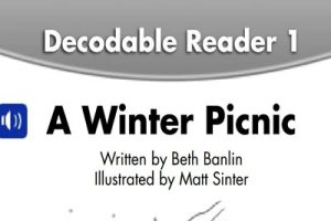 Phonics自然拼读教材规则编写Decodable Reader自然拼读有声读物25本