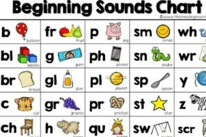 Phonics Letters Bundle Worksheet+Activities共26册PDF