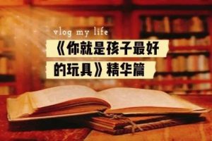 《你就是孩子最好的玩具》共1册PDF儿童早教教程