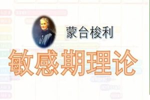 《儿童智能发育九大敏感期》+《怎样帮助孩子选择及适应幼儿园》+《0～6岁幼儿数学能力发展特点》